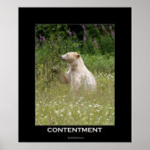 Poster Motivationnel de l'Ours Esprit (Devant)