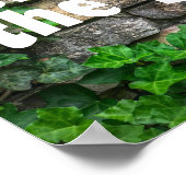 Poster Motivationnel Quelques mots lierre mural en pierre (Coin)