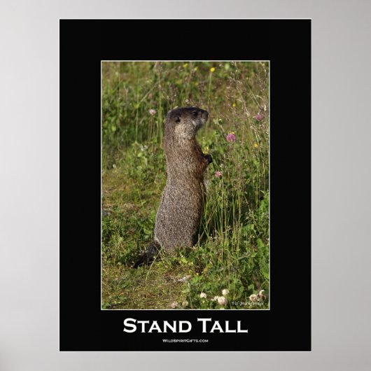 Poster Motivationnel Stand Tall (Devant)