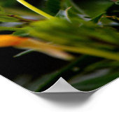 Poster motivé par la récupération (Coin)