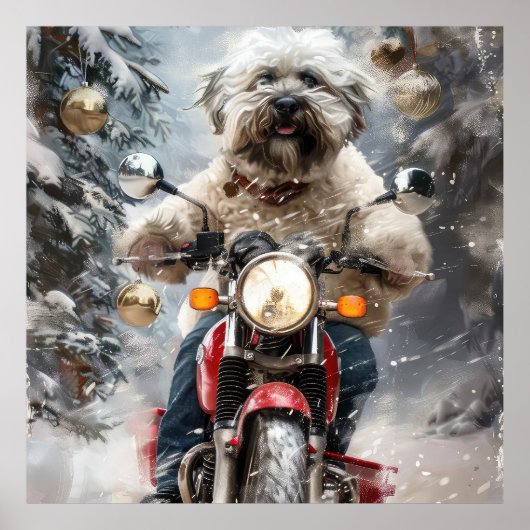 Poster Moto à chiens Havanais Noël (Devant)