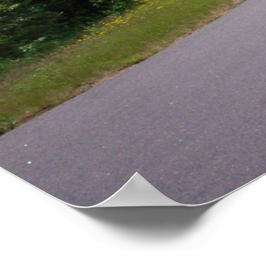 Poster Moto Blue Ridge Parkway (Coin)