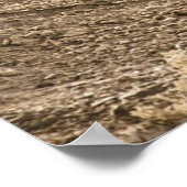 Poster Motocross Rider (Coin)