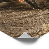 Poster Motocross Rider (Coin)