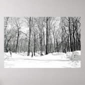 Poster Motoneige (Devant)