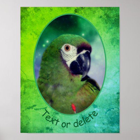 Poster Mots Personalisés Graves Macaw Parrot (Devant)