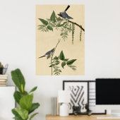 Poster Moucherolle gris bleu (Bureau à domicile)
