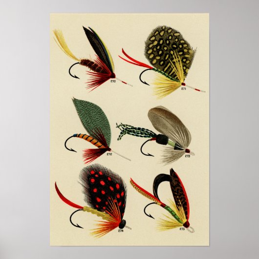 Poster Mouches de basse 270 à 275 Vintage (Devant)