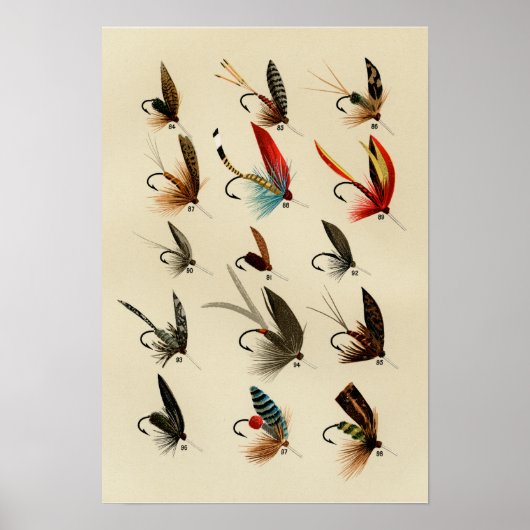Poster Mouches de truite 84 à 98 Vintage (Devant)