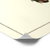 Poster Mouches et coléoptères par Vision Studio (Coin)