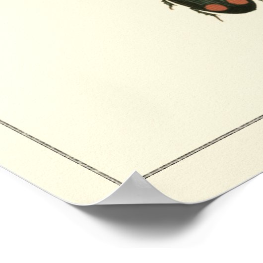 Poster Mouches et coléoptères par Vision Studio (Coin)