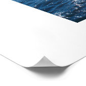 Poster Mouette (Coin)