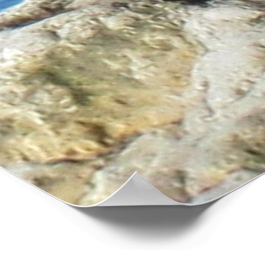 Poster Mouette (Coin)