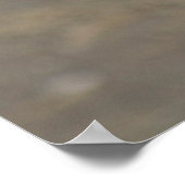 Poster Mouette (Coin)