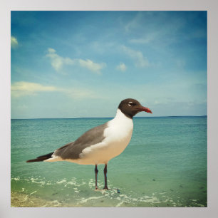 Poster Mouette