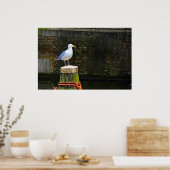 Poster Mouette (Cuisine)