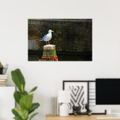 Poster Mouette (Bureau à domicile)