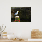 Poster Mouette (Cuisine)