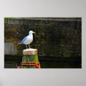 Poster Mouette (Devant)