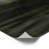 Poster Mouette (Coin)