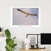 Poster Mouette (Bureau à domicile)