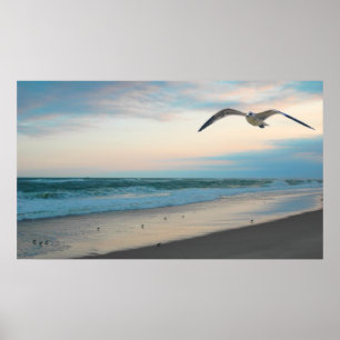 Poster Mouette