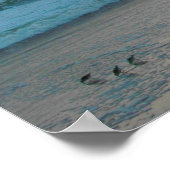 Poster Mouette (Coin)