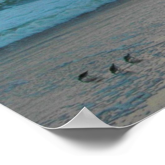 Poster Mouette (Coin)