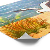 Poster Mouette (Coin)