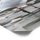 Poster Mouette à la plage (Coin)