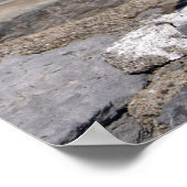 Poster Mouette à pattes jaunes sur rocher (Coin)