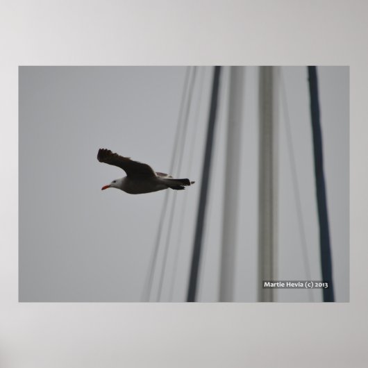 Poster Mouette dans le vol III (Devant)