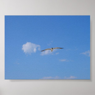 Poster Mouette de vol