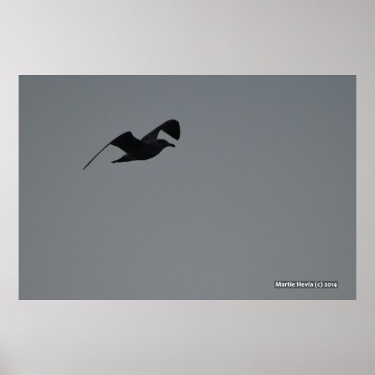 Poster Mouette en silhouette (Devant)