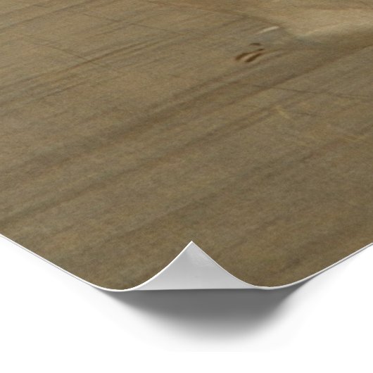 Poster Mouette en vol (Coin)