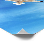 Poster Mouette en vol (Coin)