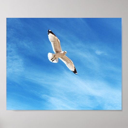 Poster Mouette en vol (Devant)