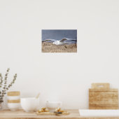 Poster Mouette en vol (Cuisine)