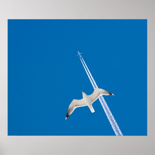 Poster Mouette et avion (Devant)