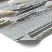 Poster Mouette et coquilles en mer (Coin)