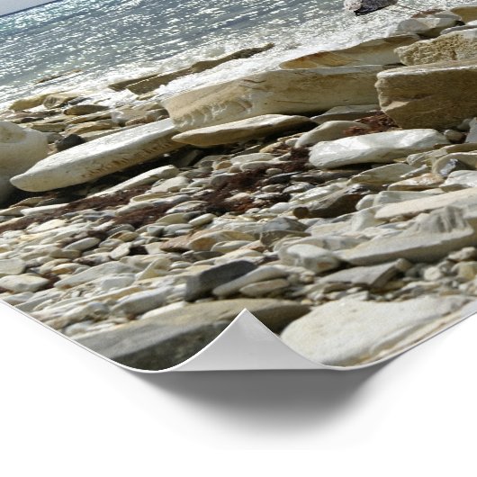 Poster Mouette et mer (Coin)