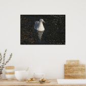 Poster Mouette flottante (Cuisine)