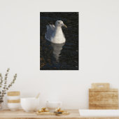 Poster Mouette flottante (Cuisine)