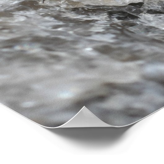 Poster Mouette pourpre Sur L'Insecte Rocheuse De Quartz (Coin)