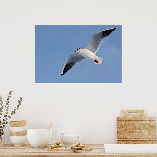 Poster Mouette / Sea gull (Cuisine)