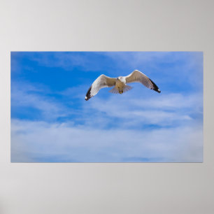 Poster Mouette s'élevant haut contre un ciel bleu