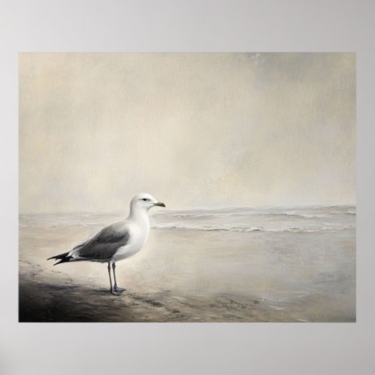 Poster Mouette Solitaire au Bord de la Côte (Devant)