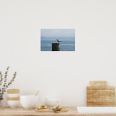 Poster Mouette solitaire sur un poste (Cuisine)