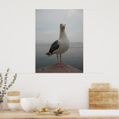Poster Mouette souriante (Cuisine)