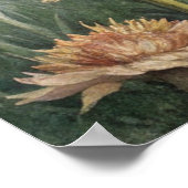 Poster Mouette sur la côte (Coin)